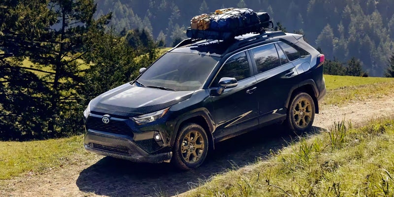 2023 Toyota RAV4 Hybrid parked on a grassy hill in the woods