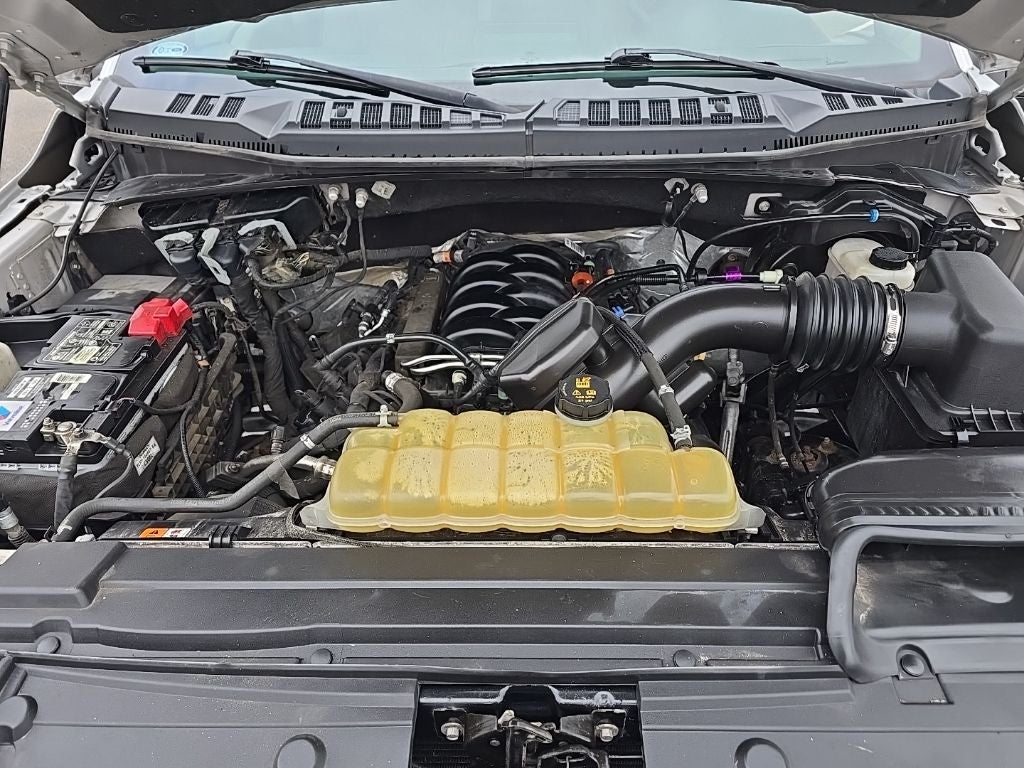 2019 Ford F-150 XLT 4x4