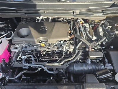 2024 Toyota Sienna XLE 8 Passenger