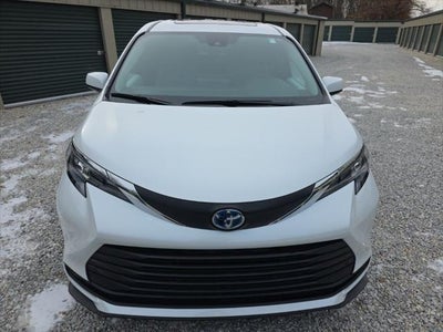 2025 Toyota Sienna XLE 7 Passenger