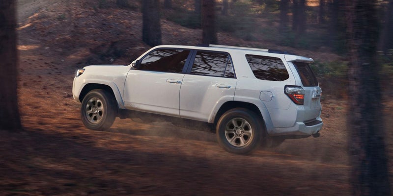 A 2024 Toyota 4Runner driving through a forest in Kent, OH
